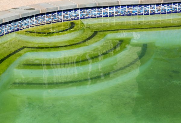 Cost of Pool Deck Algae Removal in Lebanon