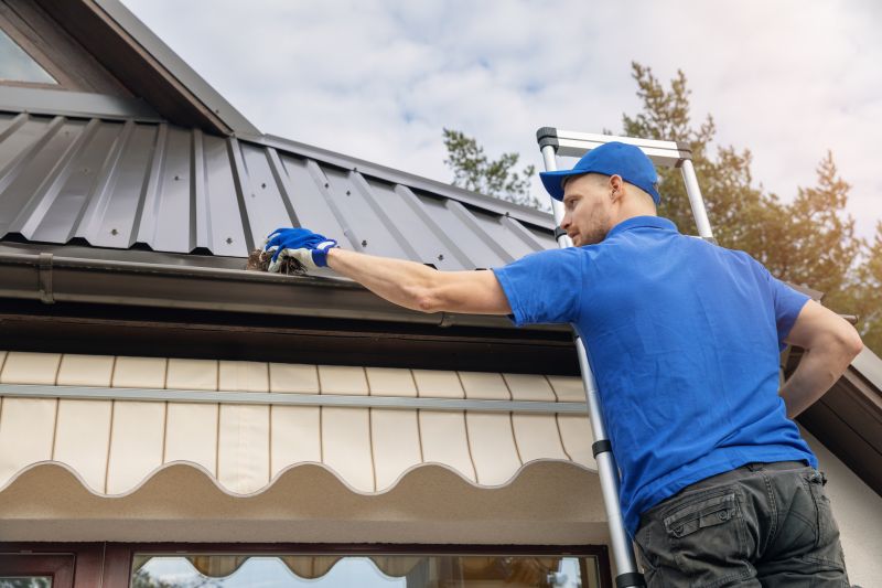 Gutter and Roof Cleaning
